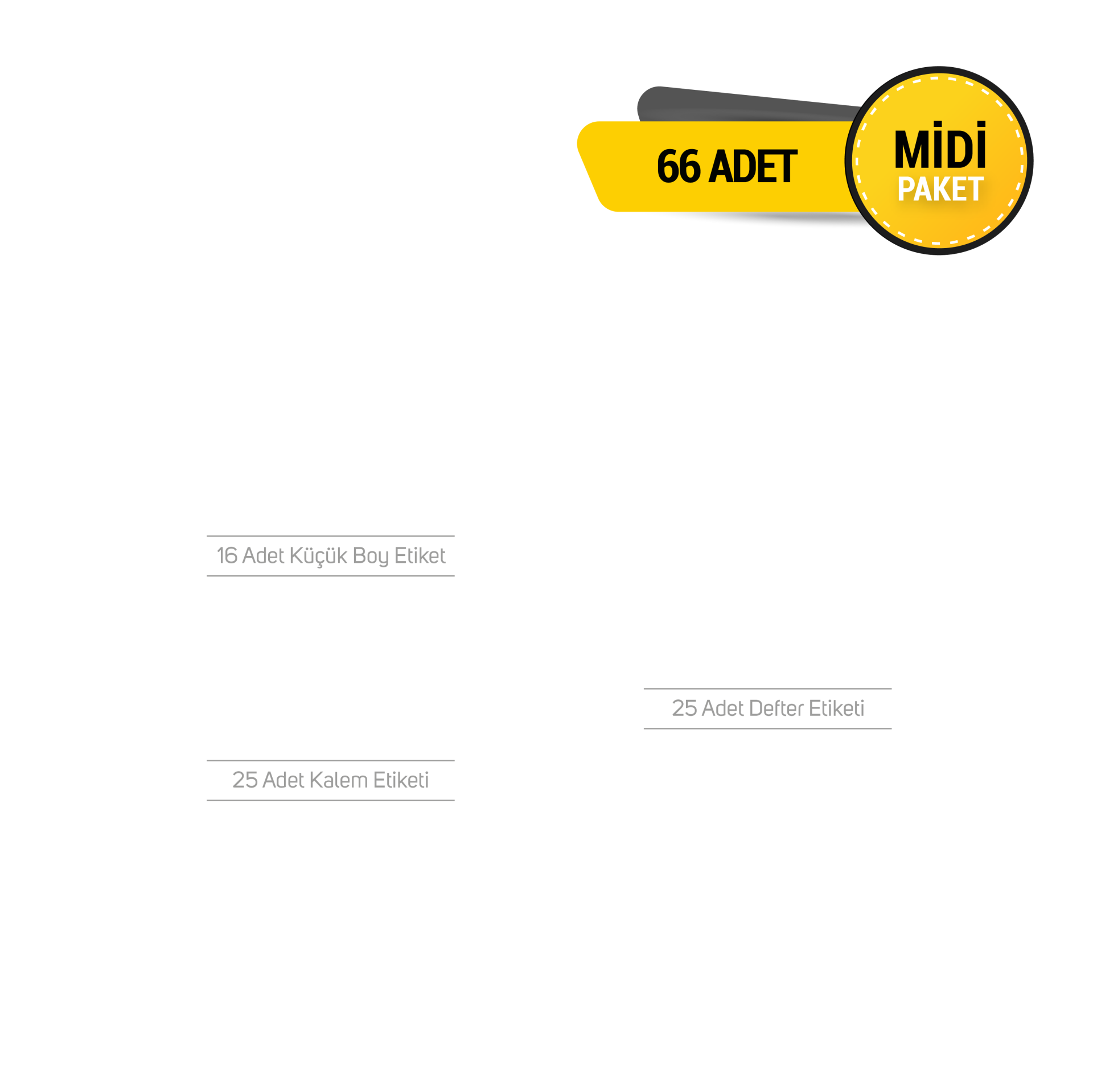 MİDİ PAKET