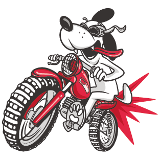 ÇILGIN SCOOTER DOG