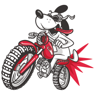 ÇILGIN SCOOTER DOG