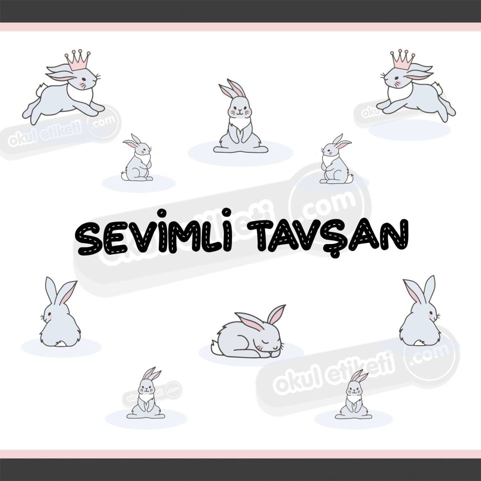 SEVİMLİ TAVŞAN