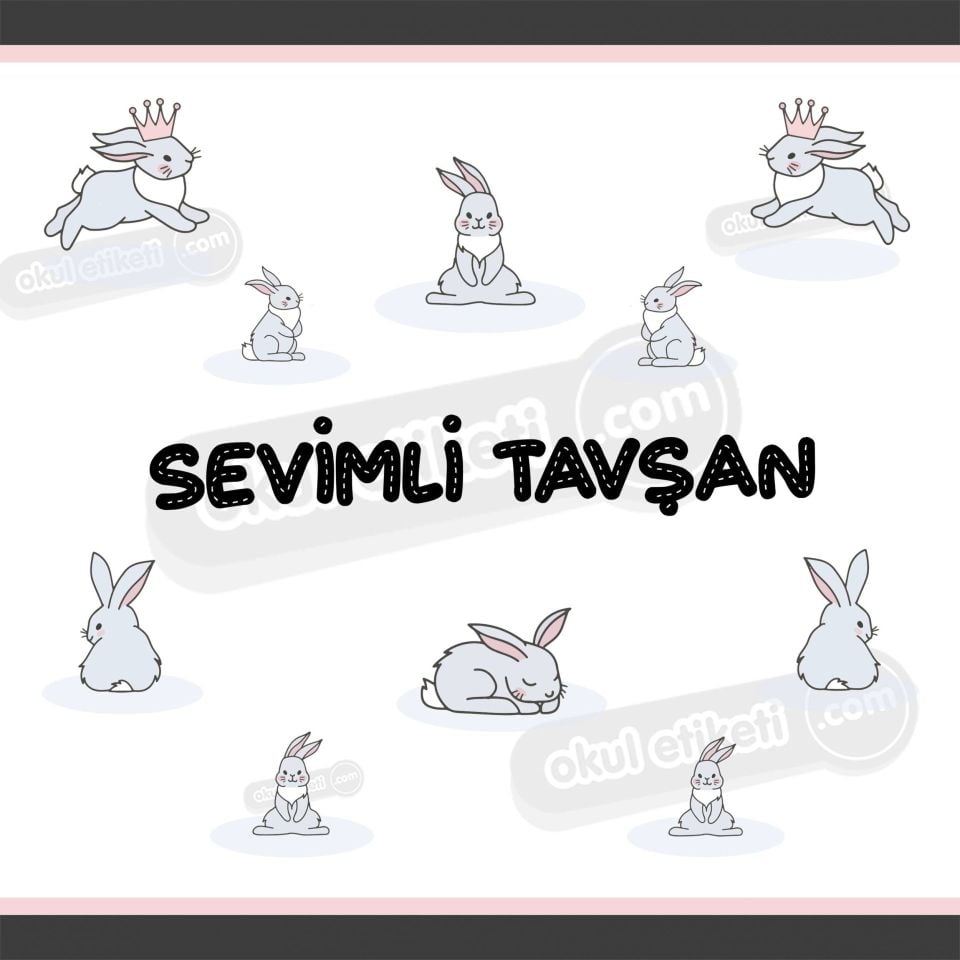 SEVİMLİ TAVŞAN