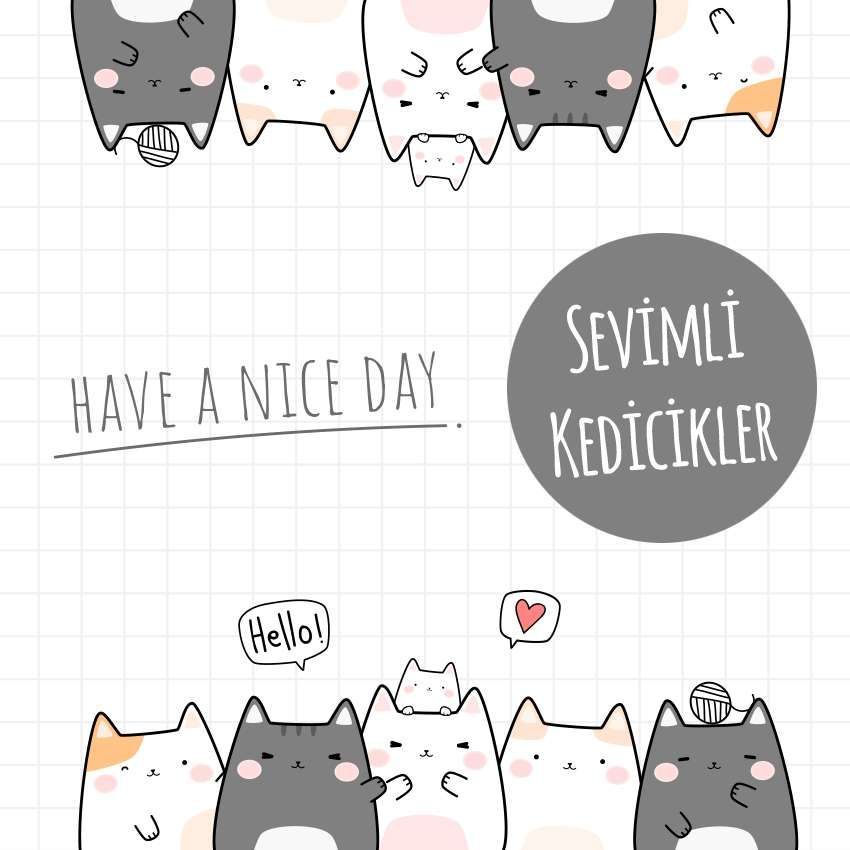 MEGA SEVİMLİ KEDİCİKLER