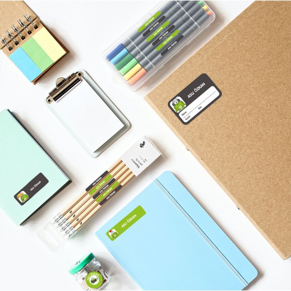 MEGA ÇILGIN KURBAĞA