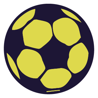 MEGA FENERBAHÇE