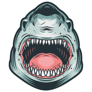 ÇILGIN SHARK