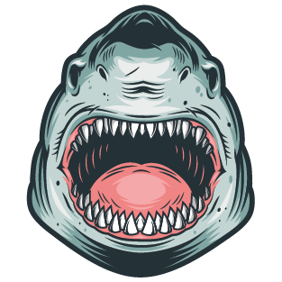 ÇILGIN SHARK