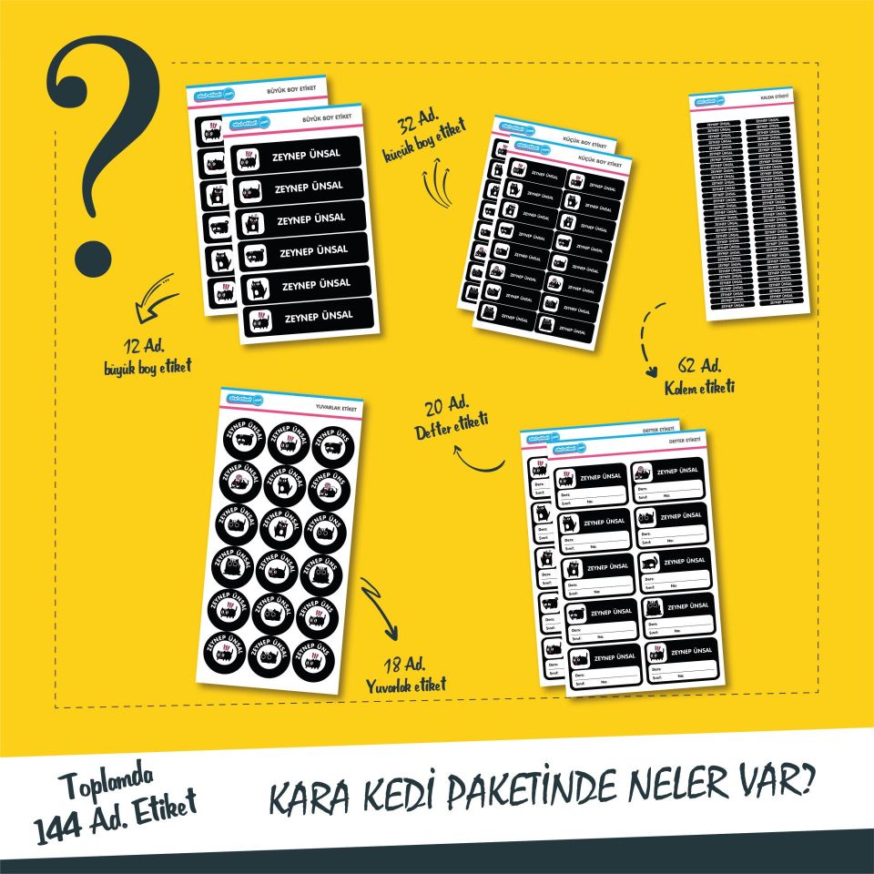 ÇILGIN SİYAH KEDİ