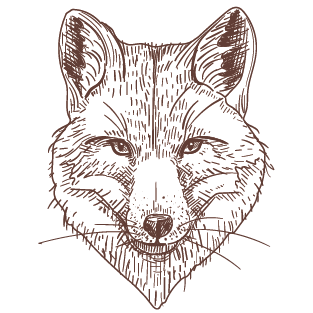 ÇILGIN COOL HAYVANLAR