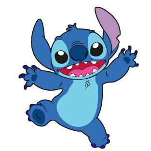 MEGA RENKLİ STITCH