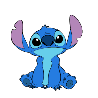ERKEK RENKLİ STITCH